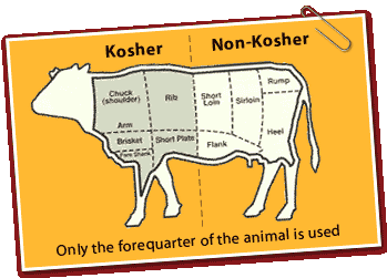 Kosher-Meat-Cow