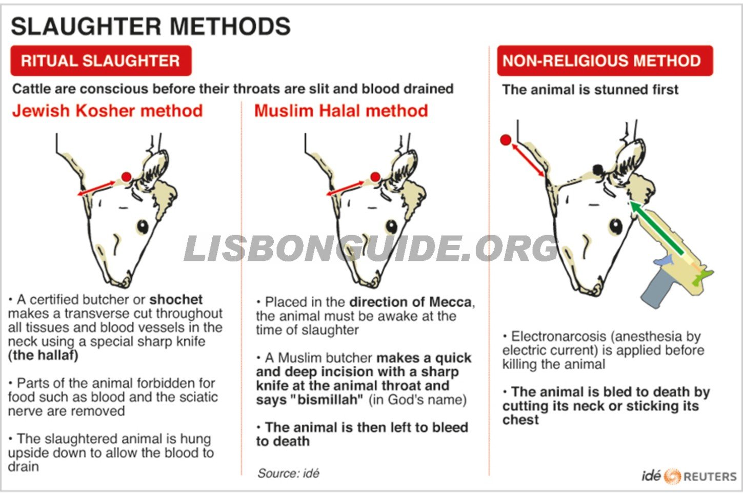 Kosher Food in Lisbon The Lisbon Guide Updated 2024