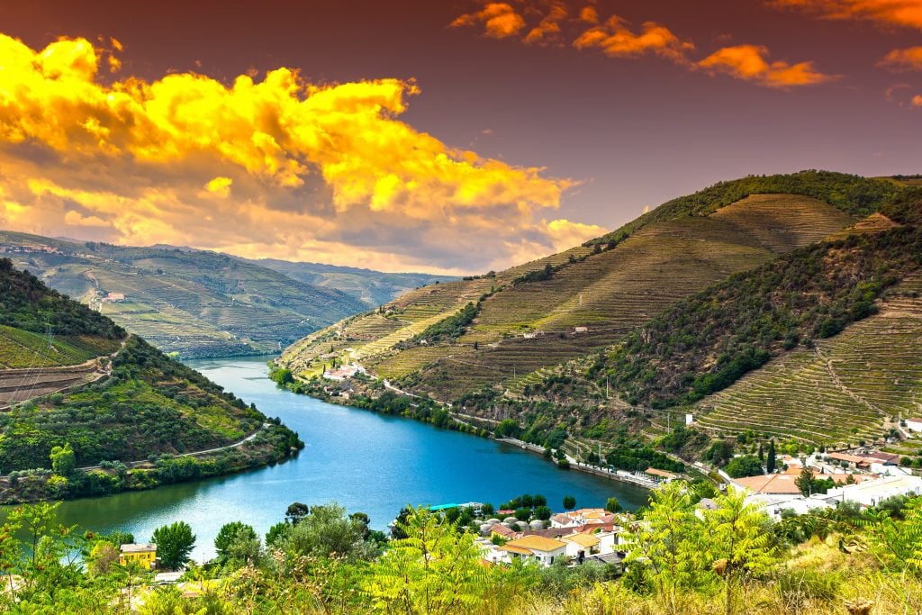 Douro Valley Wine Region Portugal's Vinicultural Treasure The Lisbon