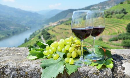 Douro_Valley_Tours_Vinho