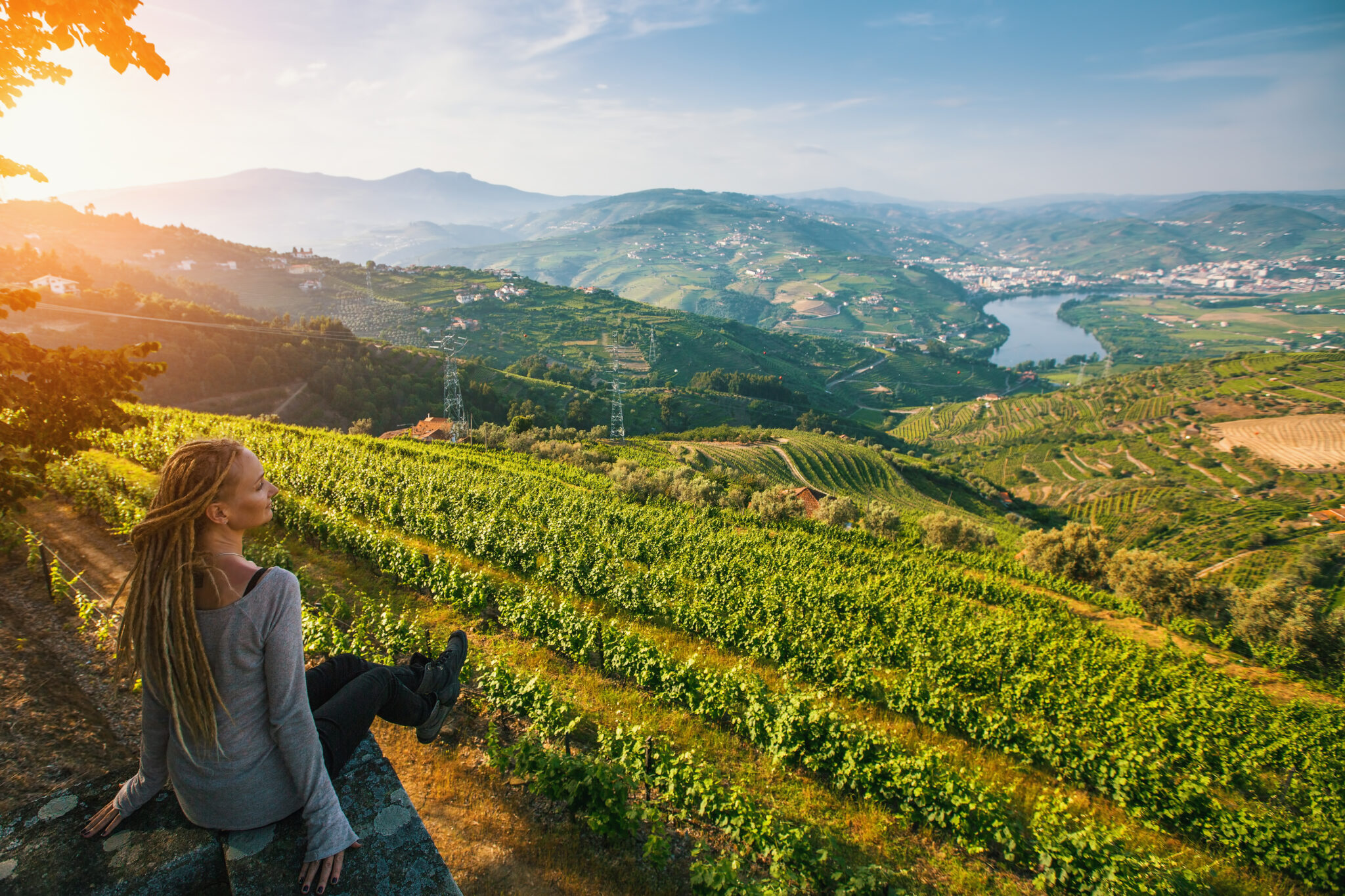 5 Wineries to Visit in Douro Valley The Lisbon Guide