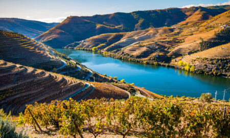 douro-valley-distance-from-lisbon