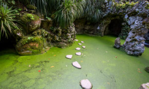 regaleira_tours_sintra_palace_from_lisbon