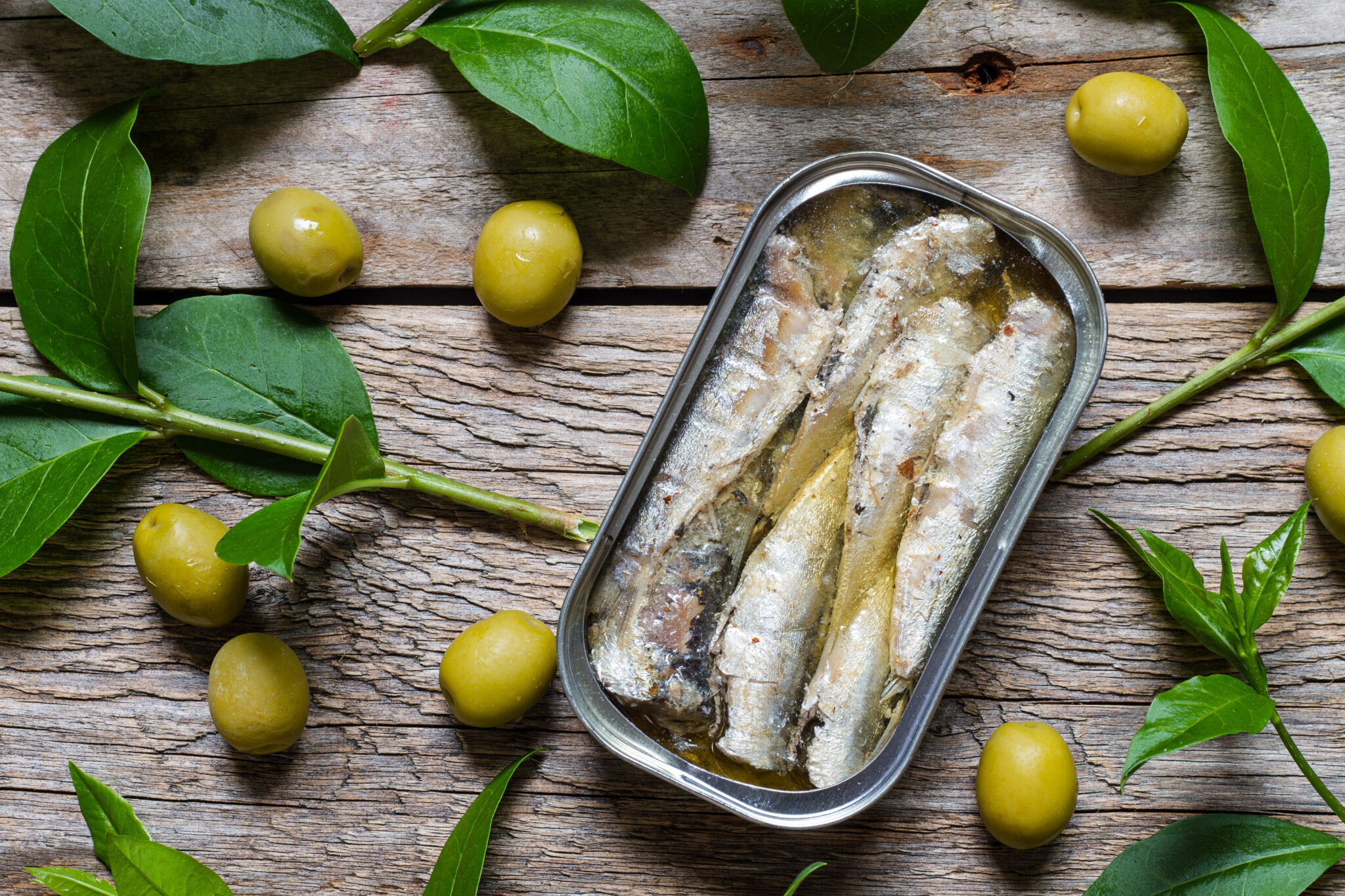 Sardine Factory in Portugal The Lisbon Guide Updated 2024