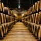 porto_vino_bodega_tours