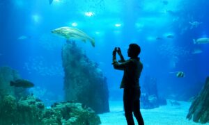 oceanario-de-lisboa-visita-portugal