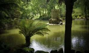 regaleira-palace-tour-quinta-sintra