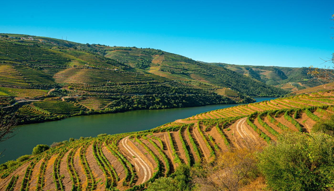 Douro_Valley_Private_Tours_Wine_Porto