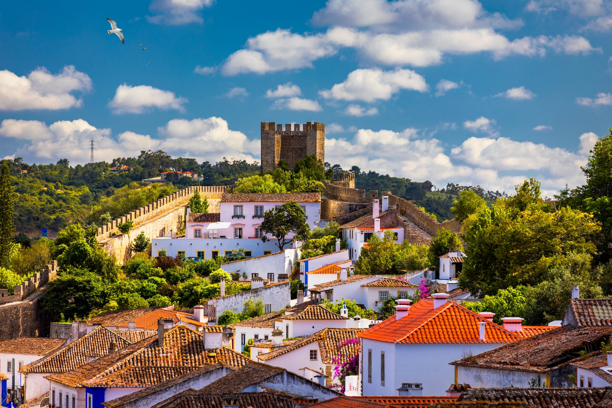 obidos_tours_portugal_castle