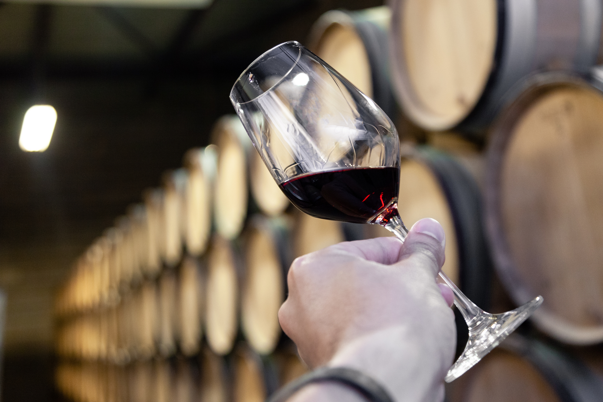 taylors_port_wines_tours_tasting