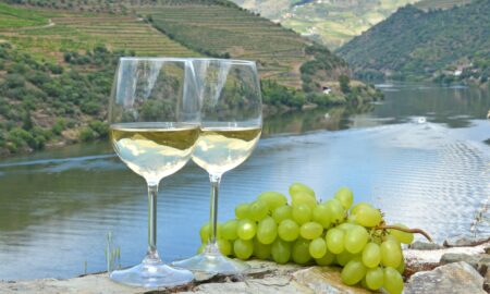 A Luxurious 5-Day Wine Journey through the Douro Valley
