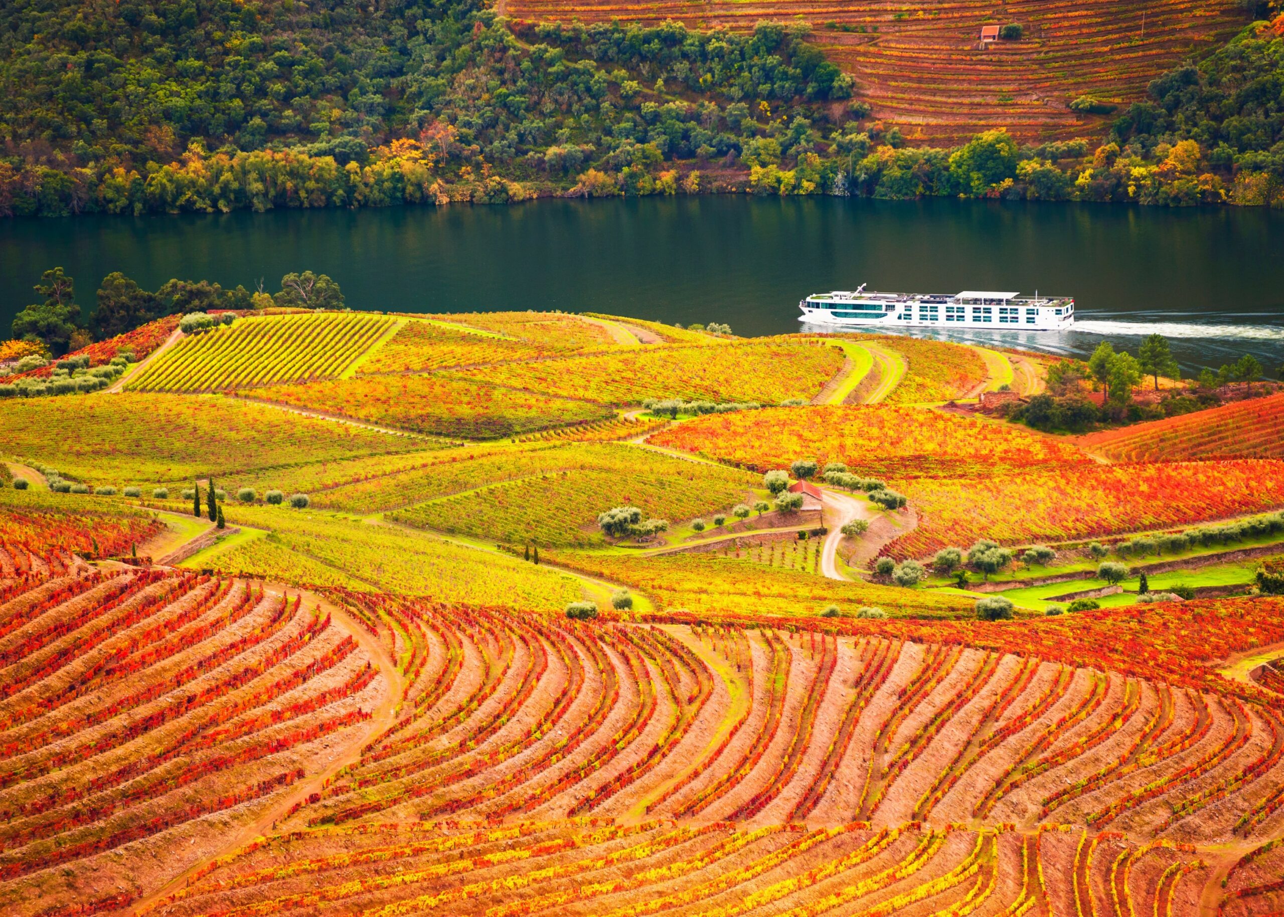 5 Best Wineries in Douro Valley