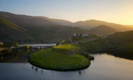 Discover Portugal: A 10-Day Adventure from Lisbon to Porto