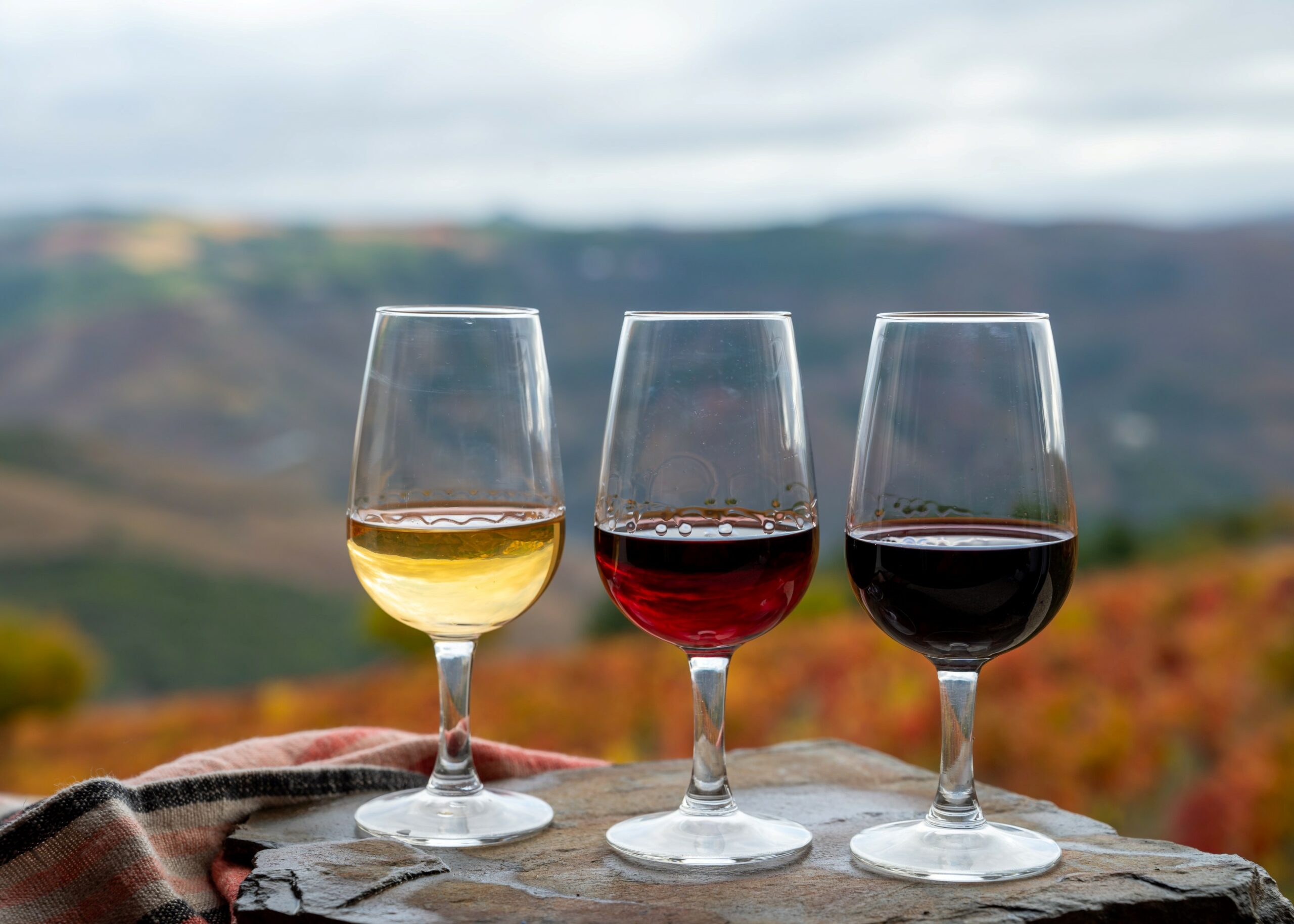 Douro_Valley_Tours_Wine_Portugal_Best (75)
