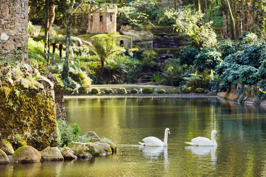 Sintra_Lisbon_Tours_TripAdvisor_Portugal
