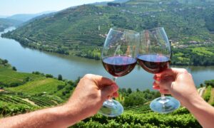 Top 5 Wine Regions to Sip Through Portugal