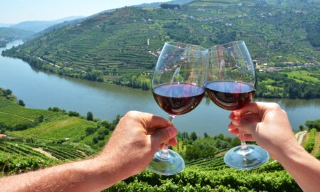 Top 5 Wine Regions to Sip Through Portugal