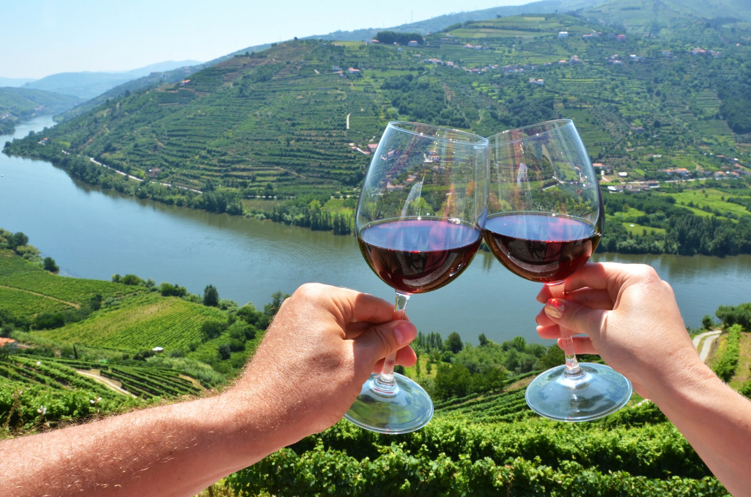 Top 5 Wine Regions to Sip Through Portugal