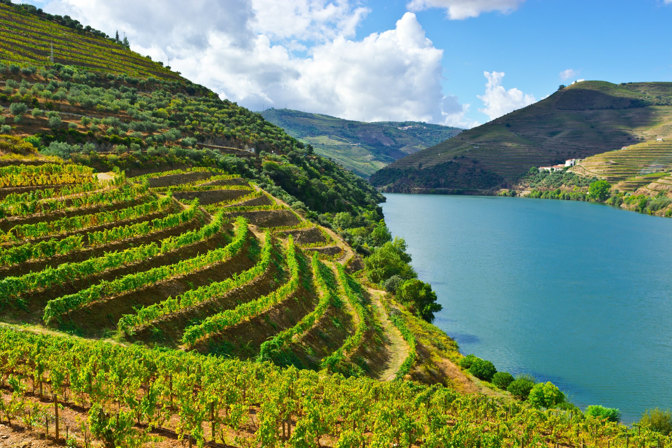 3-Day Trip Adventure through Porto & Douro Valley