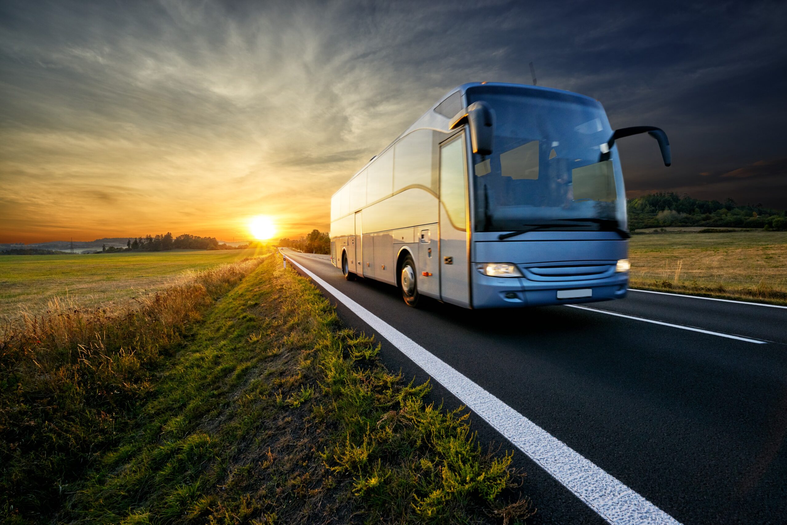 Private Bus Services for Groups and Corporate Events Across Portugal