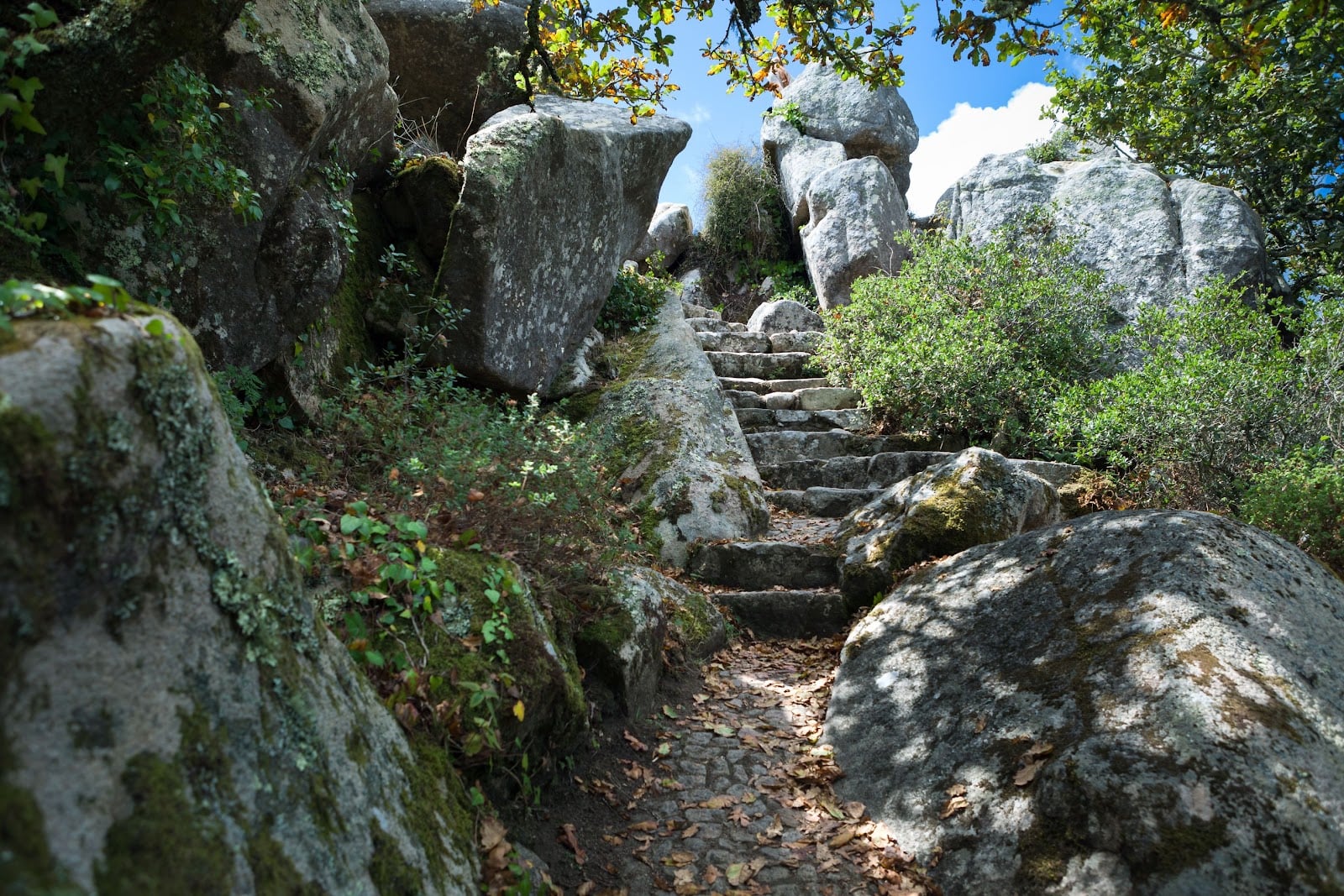 7 Days in Portugal: Lisbon, Sintra and Porto