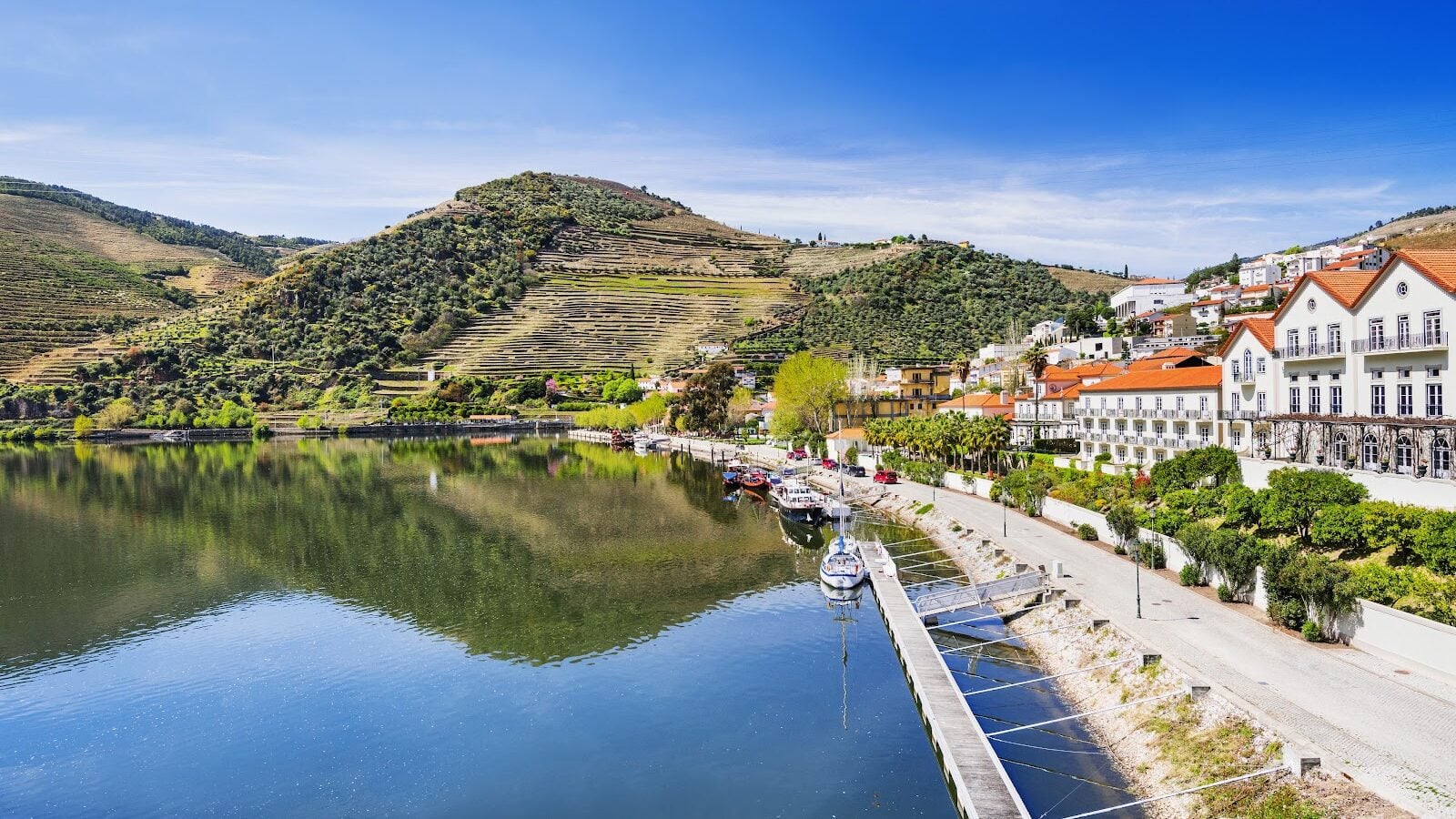 Porto to the Douro: Three Days of Granite, River Light and Vineyards