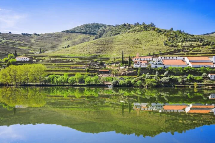 Reading Portugal Through Its Vineyards