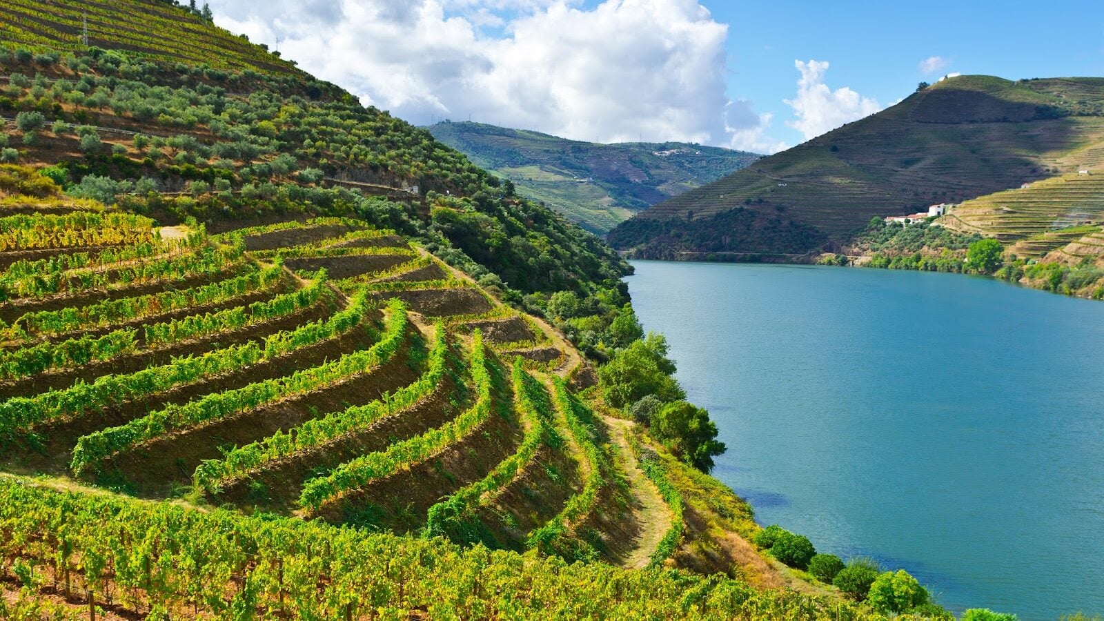 Best Time to Tour Portugal: A Month by Month Planning Guide