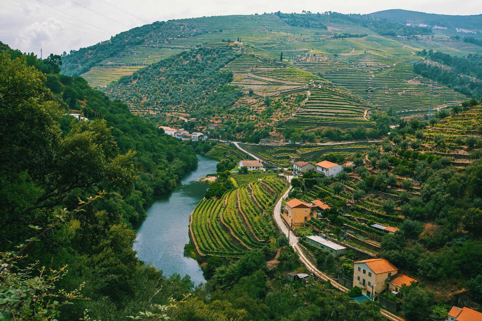 10 Days in Portugal: Wine and Heritage
