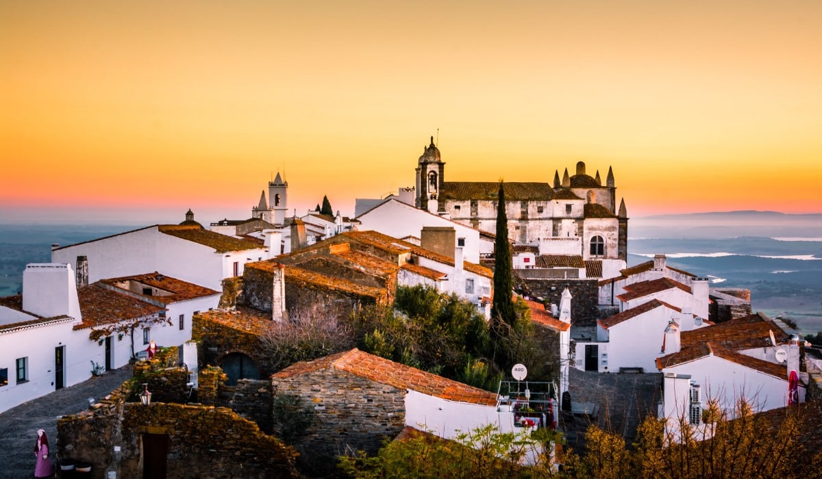 Choosing a Portuguese Wine Region: Douro, Alentejo, Dao and Vinho Verde