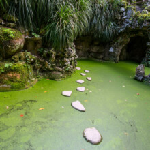 regaleira_tours_sintra_palace_from_lisbon