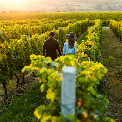 winery_visit_lisbon