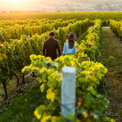 winery_visit_lisbon winery_visit_lisbon