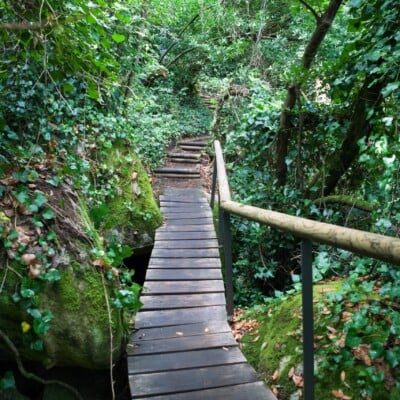 hiking_sintra_tour hiking_sintra_tour