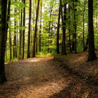 portugalmagik_hiking_sintra portugalmagik_hiking_sintra