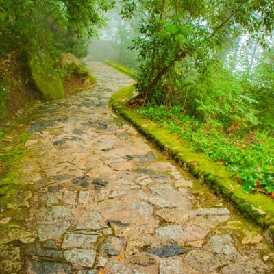tour_portugal_hike_sintra_lisbon tour_portugal_hike_sintra_lisbon