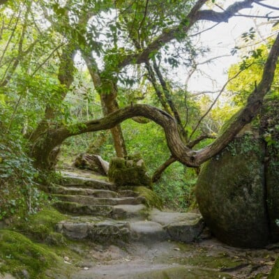 tours_sintra_hiking-portugal tours_sintra_hiking-portugal
