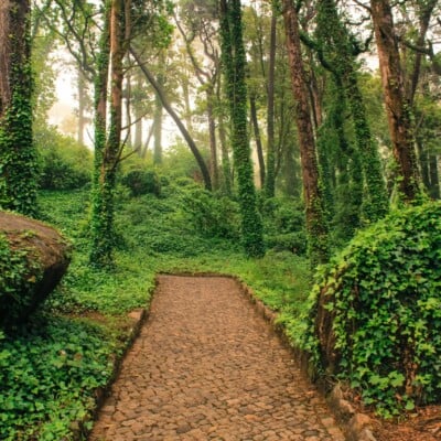 tours_sintra_hiking_private_lisbon_portugal tours_sintra_hiking_private_lisbon_portugal