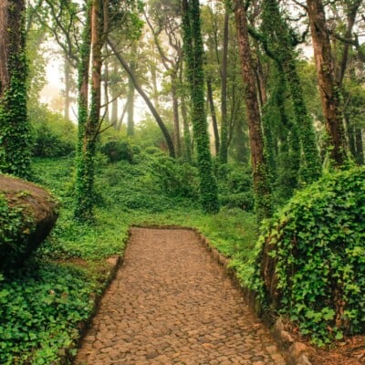 tours_sintra_hiking_private_lisbon_portugal tours_sintra_hiking_private_lisbon_portugal