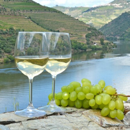A Luxurious 5-Day Wine Journey through the Douro Valley A Luxurious 5-Day Wine Journey through the Douro Valley