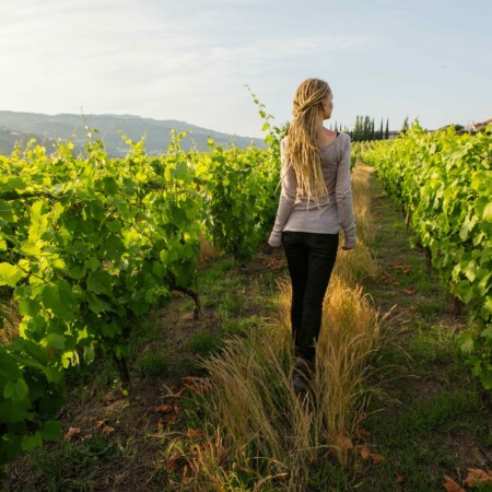 Douro_Valley_Tours_Wine_Portugal_Best Douro_Valley_Tours_Wine_Portugal_Best